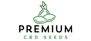premium cbd seed