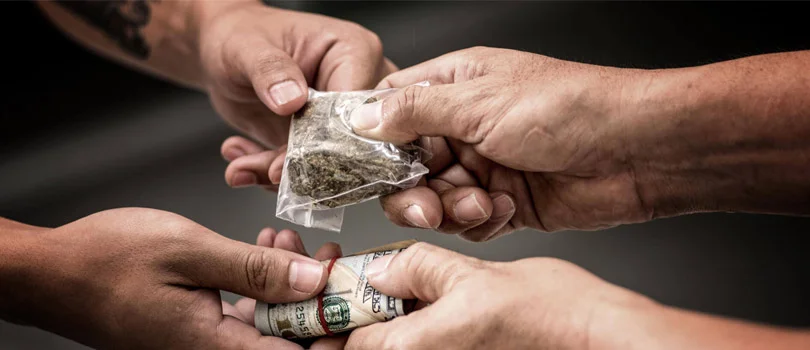 buying cannabis seeds