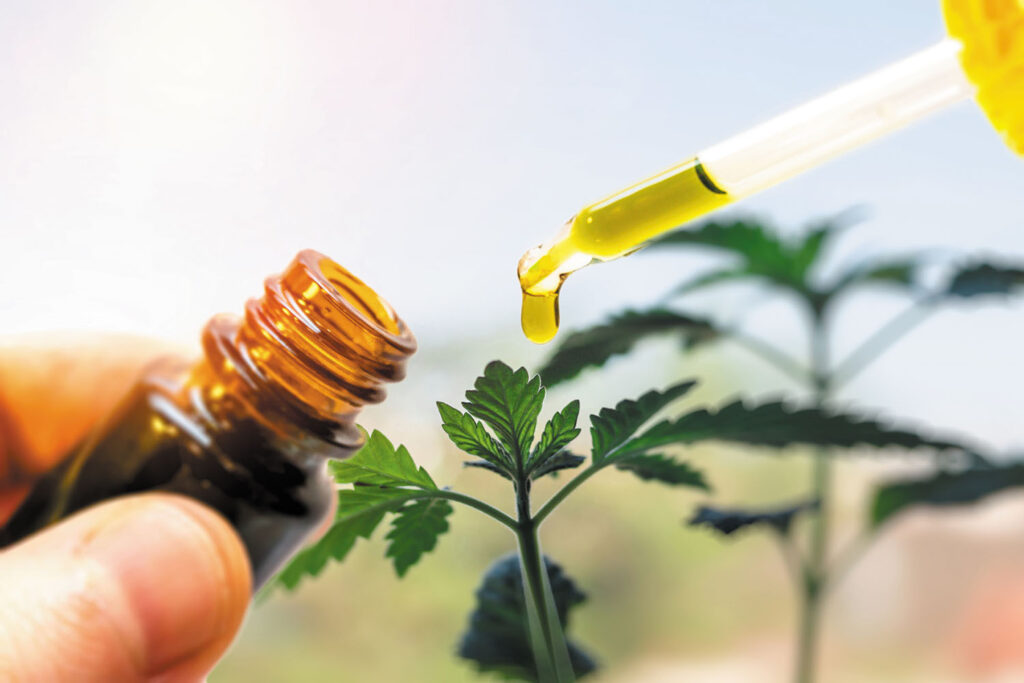 extract cbd from plant