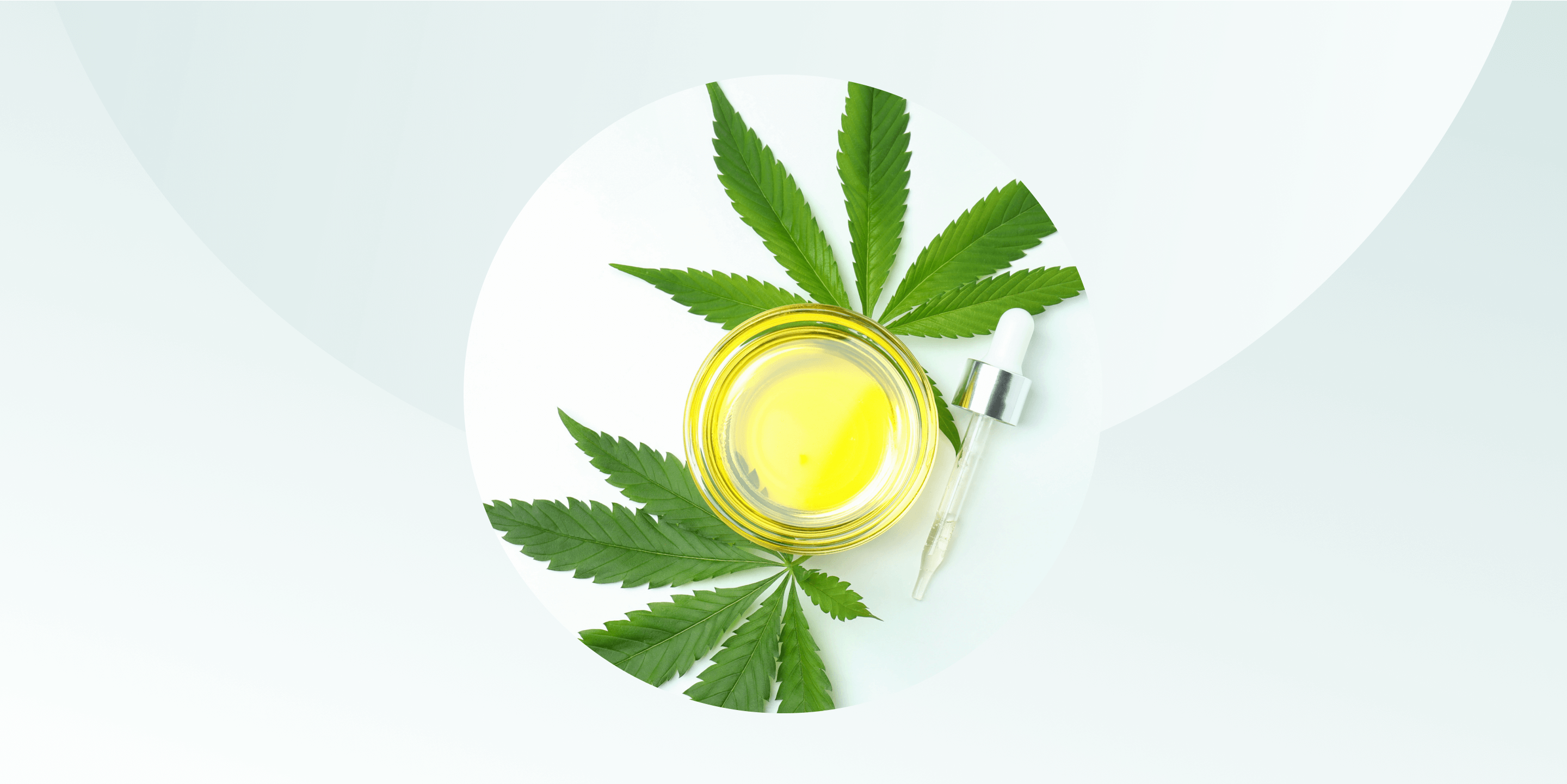 CBD Oil for daily use
