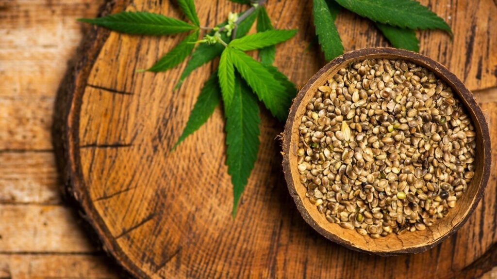 The Science Behind CBD Seed Oil Content Genetics Meets Environment