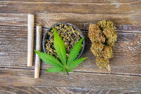 Feminized vs. Autoflower CBD Seeds